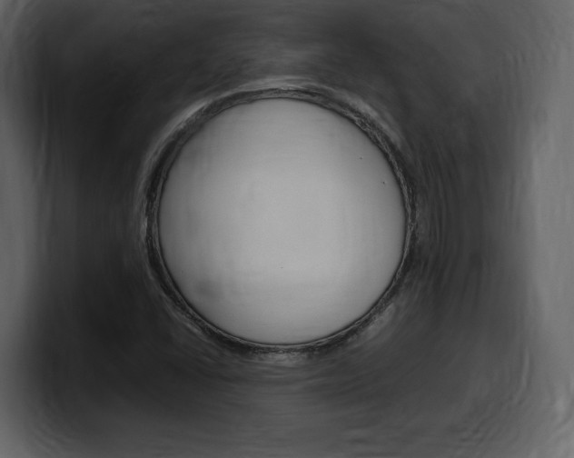 X0000099571406200805160716