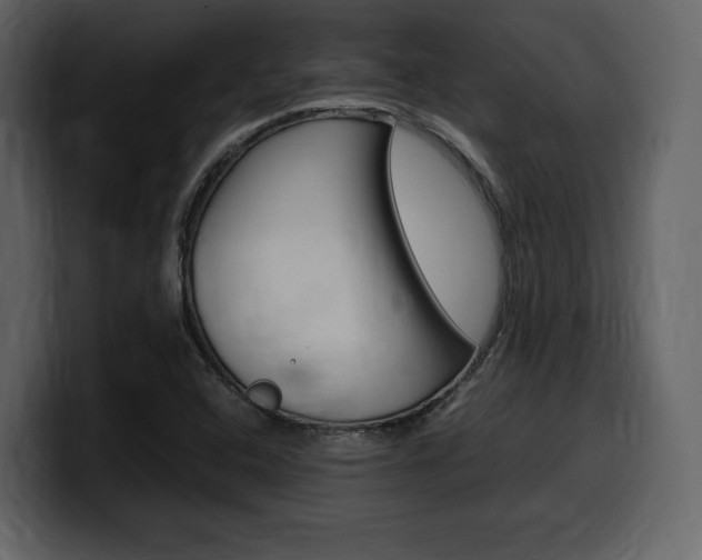 X0000099571408200805160716