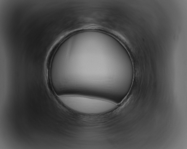 X0000099571414200805160717
