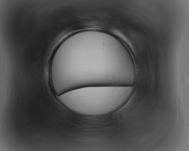 X0000099571415200805160717