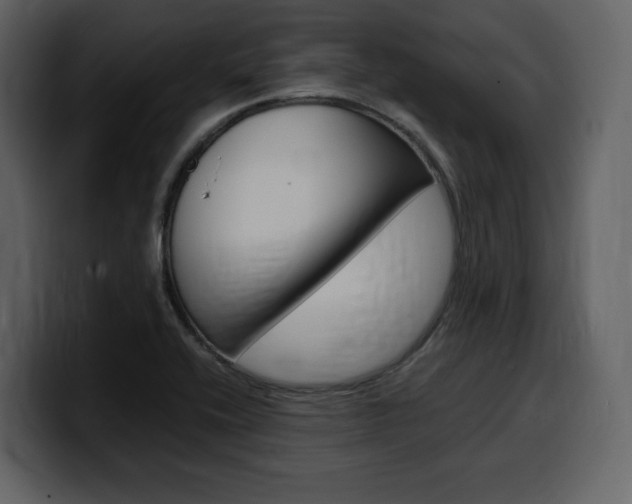 X0000099571416200805160717