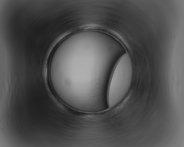 X0000099571418200805160717