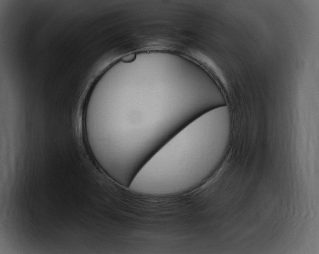 X0000099571419200805160717