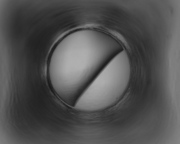 X0000099571420200805160717