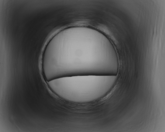 X0000099571421200805160717