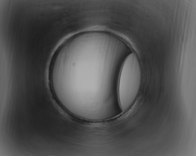 X0000099571422200805160717