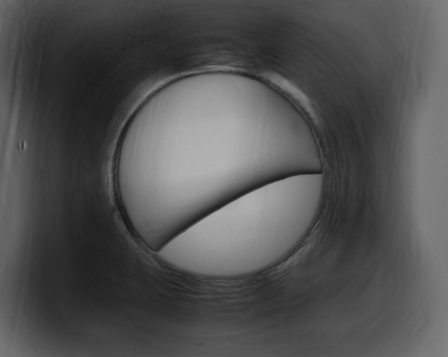 X0000099571423200805160717