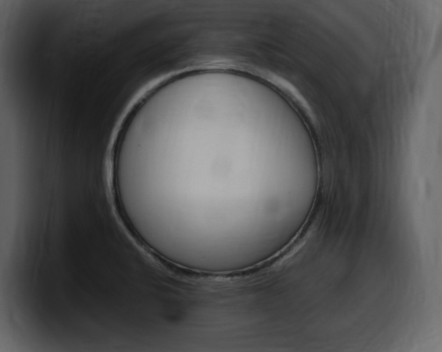 X0000099571424200805160717