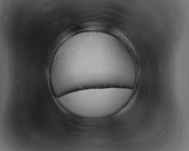 X0000099571425200805160717