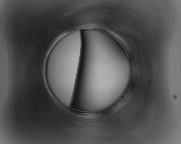 X0000099571426200805160717