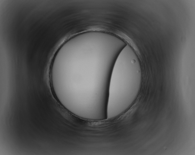 X0000099571427200805160717