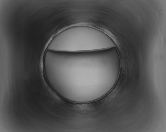 X0000099571428200805160717