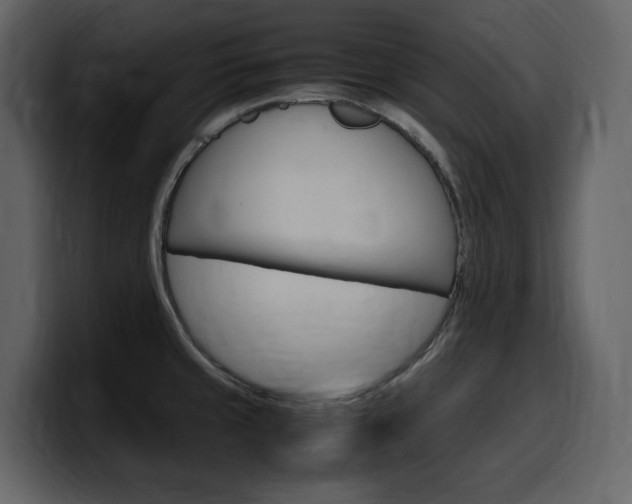 X0000099571429200805160717