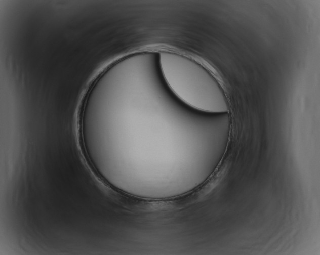X0000099571430200805160717