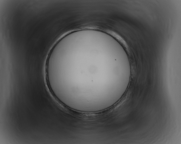 X0000099571431200805160717