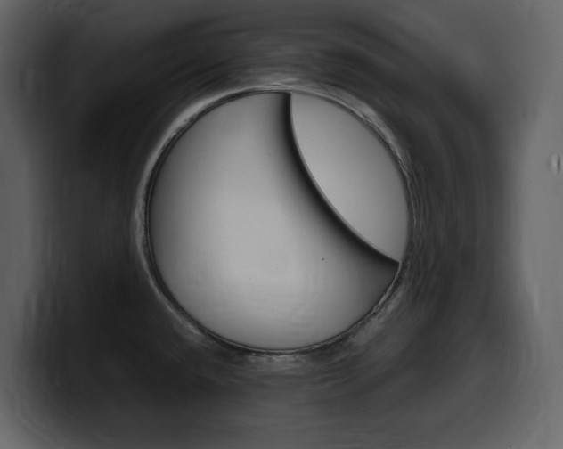 X0000099571432200805160717
