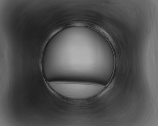 X0000099571433200805160717