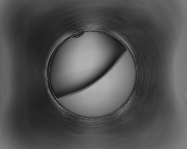 X0000099571434200805160717