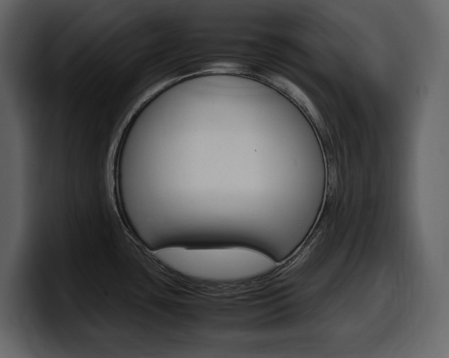X0000099571435200805160717