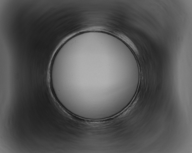 X0000099571436200805160717