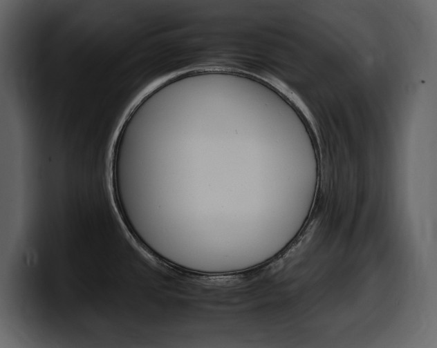 X0000099571437200805160717