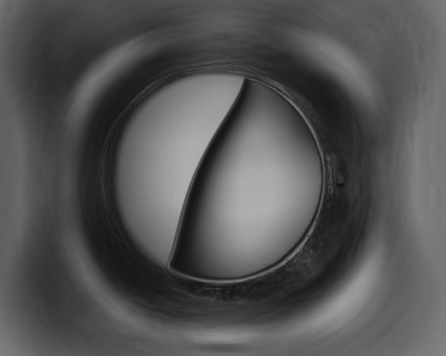 X0000099571438200805160717