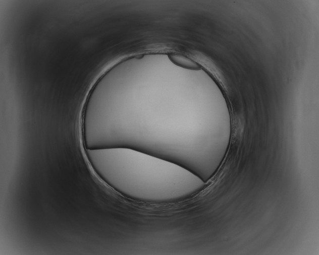 X0000099571439200805160717