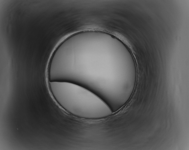 X0000099571440200805160717