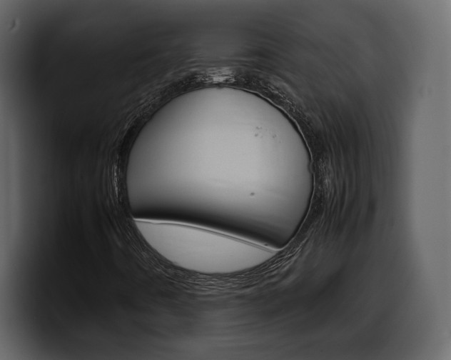 X0000099571442200805160716