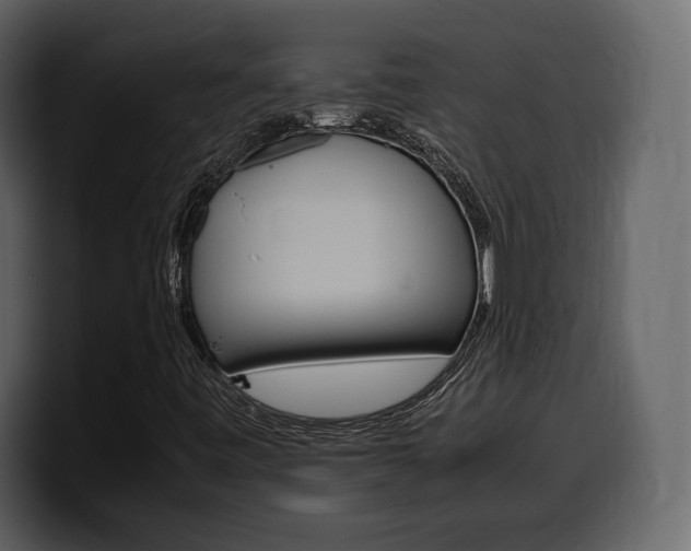 X0000099571443200805160716