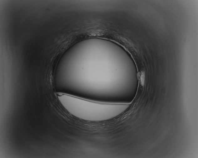 X0000099571444200805160716