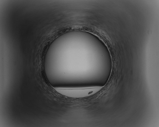 X0000099571445200805160716