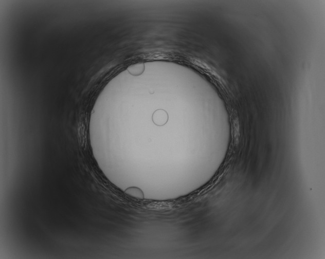 X0000099571446200805160716