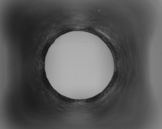 X0000099571447200805160716