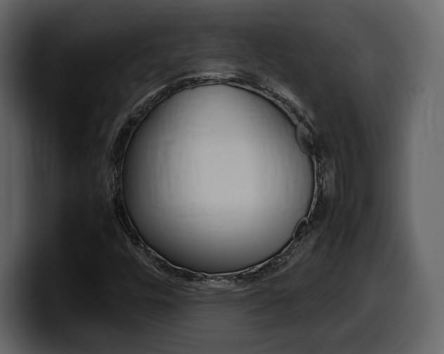 X0000099571448200805160716