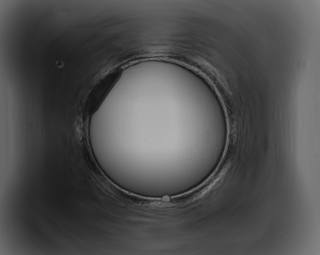X0000099571449200805160716