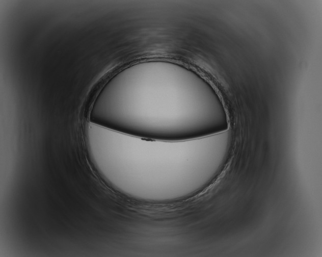 X0000099571450200805160716