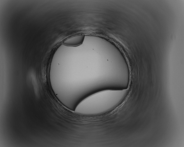 X0000099571451200805160716