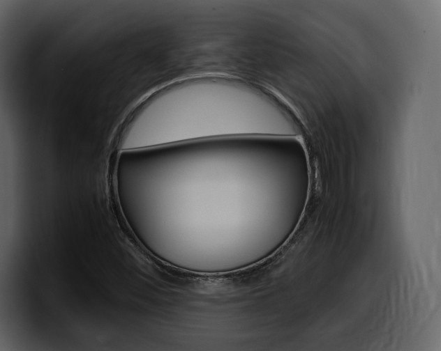 X0000099571452200805160716
