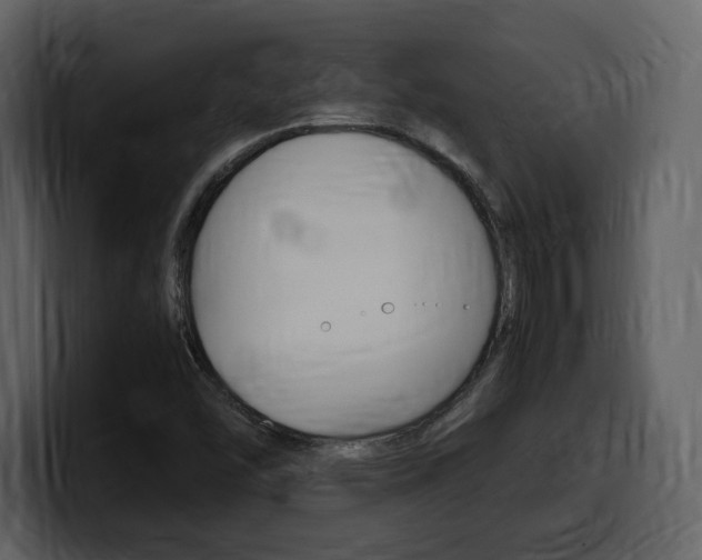 X0000099571454200805160716