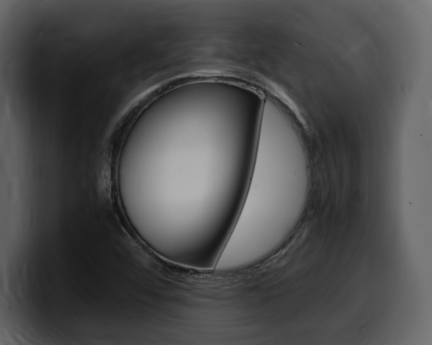 X0000099571456200805160716