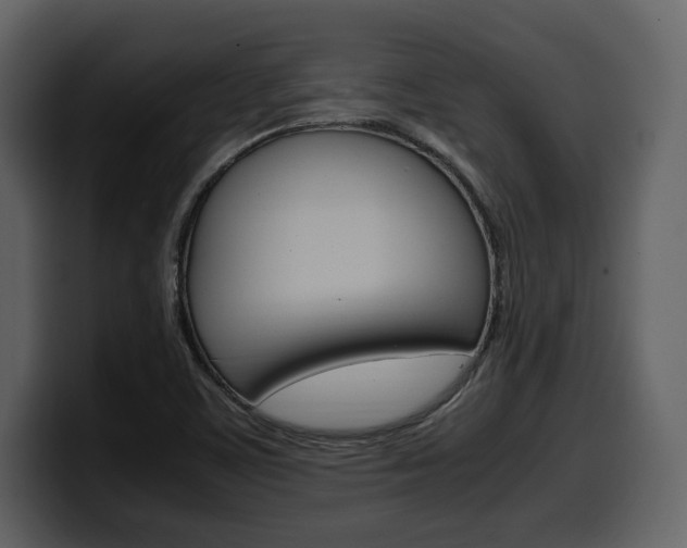 X0000099571459200805160716
