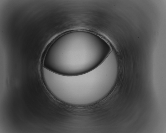 X0000099571460200805160716
