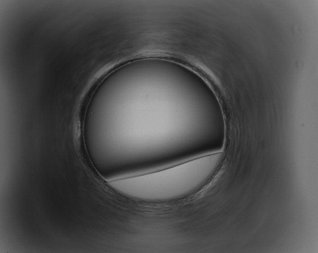 X0000099571461200805160716