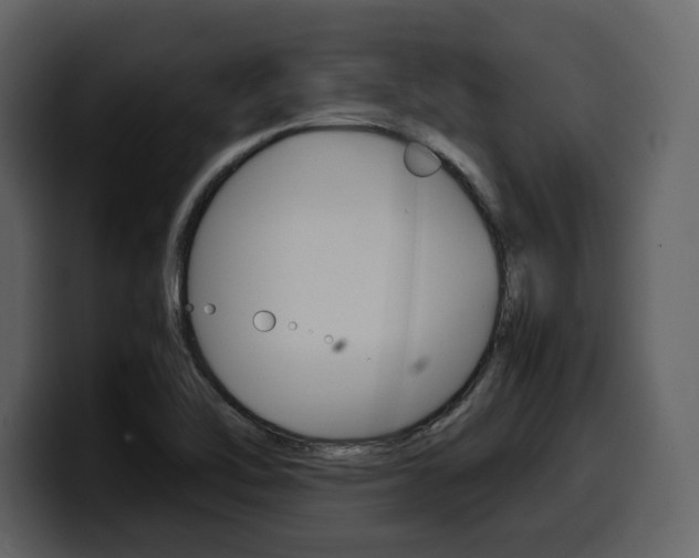 X0000099571462200805160716