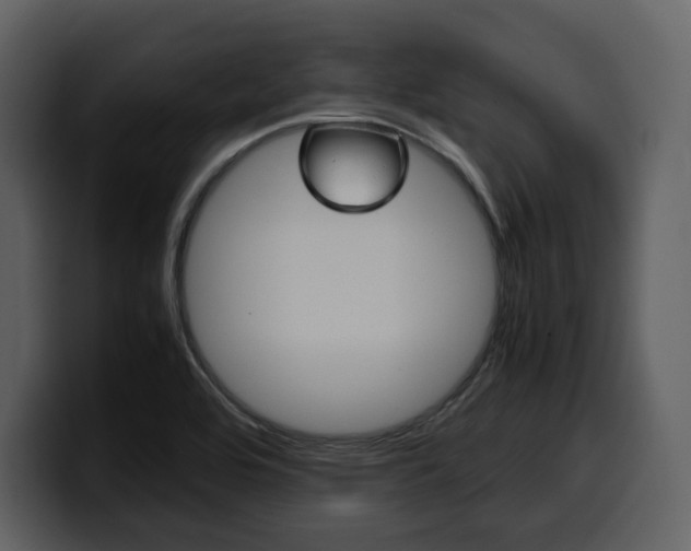 X0000099571464200805160716