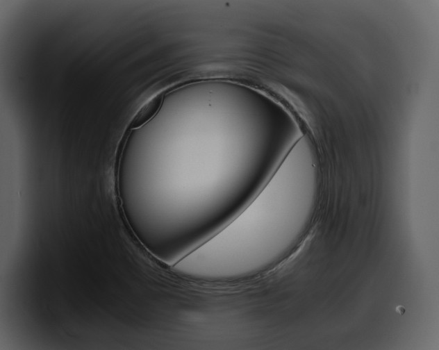 X0000099571465200805160716