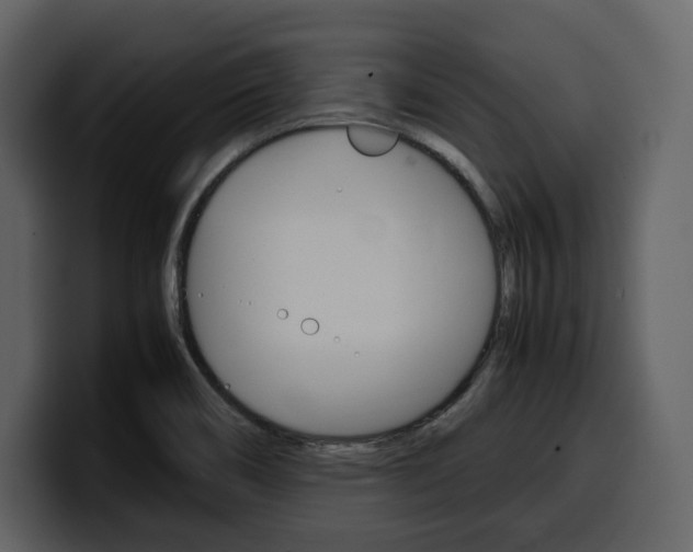 X0000099571466200805160716