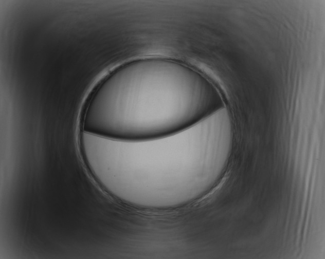 X0000099571469200805160716
