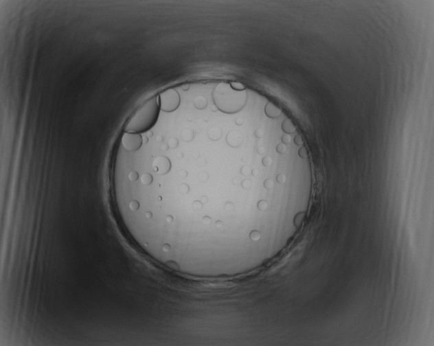 X0000099571471200805160716